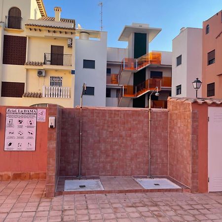 Three Bedroom Apartment With Pool In Torrevieja Exteriör bild